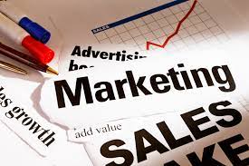 Why Do You Need A Marketing Team For Your Business?
